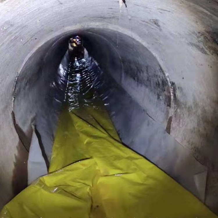 龙游管道光固化修复